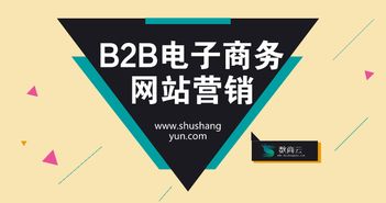 B2B电子商务网站营销质量提升策略 从流量到转化的系统化经营
