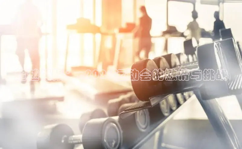飞速直播nba直播吧