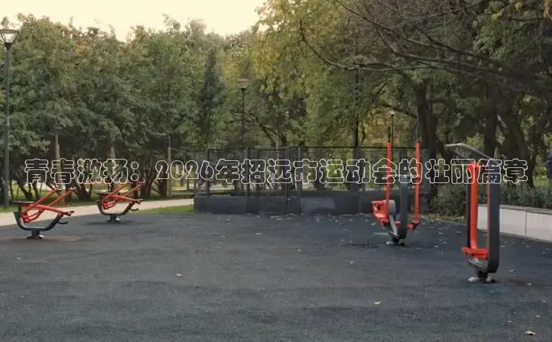 飞速体育直播app下载